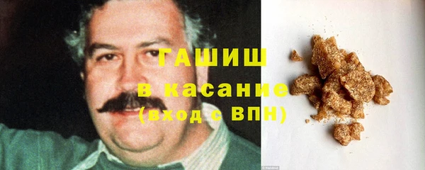 трава Коряжма