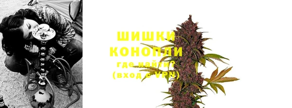 PSILOCYBIN Верхний Тагил