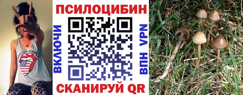 Галлюциногенные грибы Magic Shrooms  Воронеж 