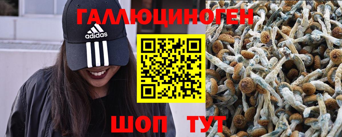 Псилоцибиновые грибы Magic Shrooms  Вход с VPN  Галлюциногенные грибы мицелий  Воронеж 