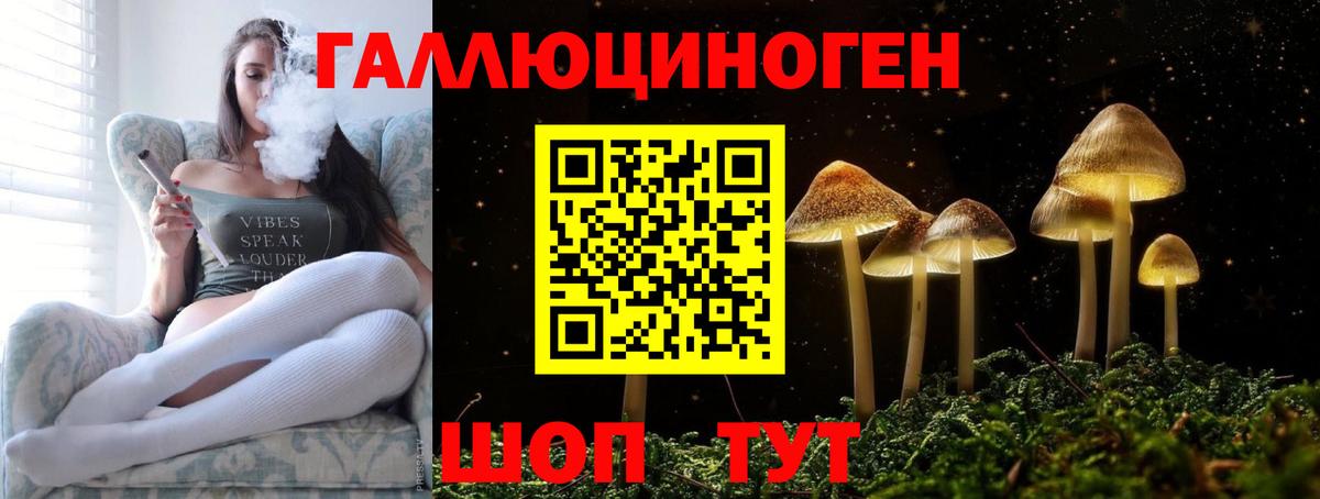 Псилоцибиновые грибы Cubensis  Воронеж 